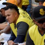 león, leones, sandor, guido, profesional,