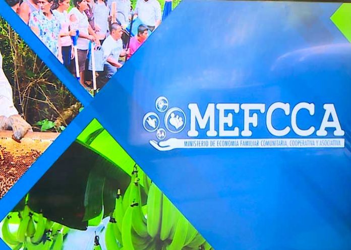 Foto: MEFCCA promueve éxito comercial de pequeños negocios en Nicaragua / Cortesía