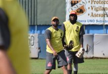 leones, león, profesional, rivas, bóer,