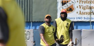leones, león, profesional, rivas, bóer,