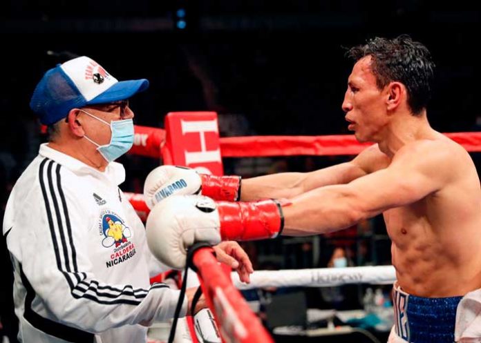 rené, alvarado, boxeo, rusia,