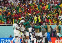 Catar cae 3-1 ante Senegal y el anfitrión está casi afuera senegal, catar, fútbol, mundial,