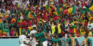 senegal, catar, fútbol, mundial,