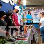 Promueven carreras técnicas en comunidad La Pintada, Nandaime Educación técnica en Nandaime