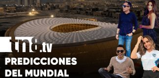 Predicción del Mundial de Fútbol 2022 por parte del equipo TN8