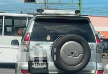 Desquiciado arrastra a gato en calles de Managua (VIDEO FUERTE) Acto de crueldad animal contra un gato en Managua