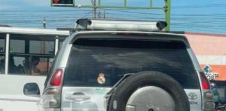 Acto de crueldad animal contra un gato en Managua