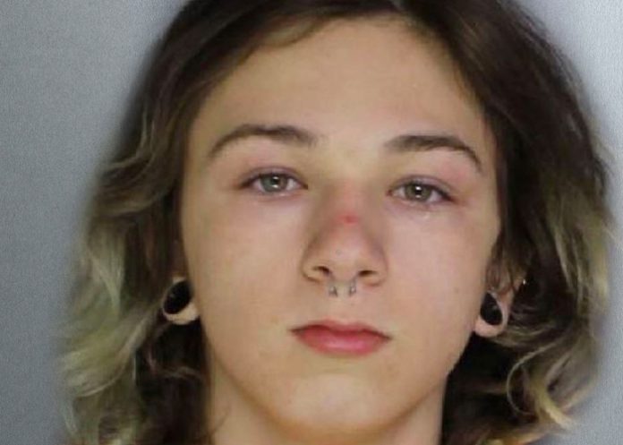 Adolescente asesina a una niña en Estados Unidos