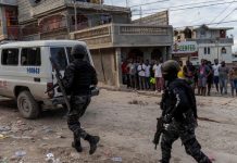 Director de academia policial en Haití muere tras ataque armado Director de academia de policía en Haití muere tras ataque armado