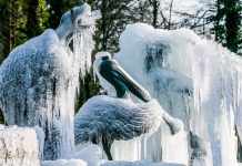 Masa de aire frío se dirige hacia Europa bajando radicalmente temperaturas Gigante masa de aire va a traer el invierno de golpe a Europa