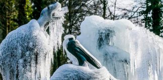 Gigante masa de aire va a traer el invierno de golpe a Europa