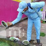 Aplican BTI en CDI «Los Pollitos», en Managua, para eliminar zancudos Aplicación de BTI en un CDI del Distrito VII de Managua