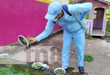 Aplican BTI en CDI «Los Pollitos», en Managua, para eliminar zancudos Aplicación de BTI en un CDI del Distrito VII de Managua