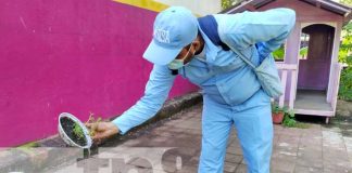 Aplicación de BTI en un CDI del Distrito VII de Managua