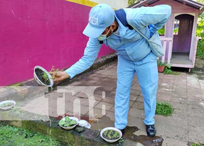 Aplicación de BTI en un CDI del Distrito VII de Managua
