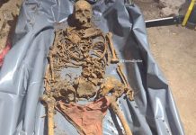Encuentran esqueleto de mujer desaparecida en el patio de su casa en Argentina Hallan esqueleto hace 10 años enterrado en Argentina