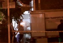 ¡Trágico! Muere un «nica» atropellado en una carretera de Costa Rica ¡Trágico! Muere un "nica" atropellado en una carretera de Costa Rica