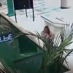 Por estar ‘pegada al celular’, se dio un chapuzón