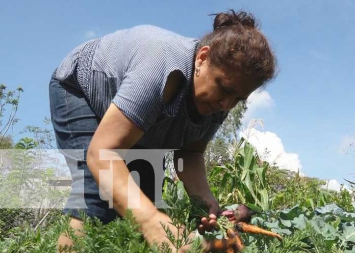 Emprendimientos rurales de La Garnacha, Estelí