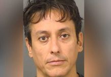 Arrestan a un «peluquero» en Florida tras abusar de varios perros Arrestan a un "peluquero" en Florida tras abusar de varios perros