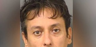 Arrestan a un "peluquero" en Florida tras abusar de varios perros