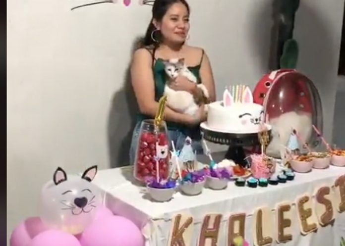 gato2 Gran fiesta para celebrar el primer año de su gatita