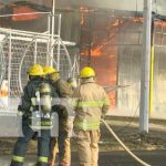 Masivo incendio en sector de los tramos de pólvora en Tiscapa, Managua Foto: Fuerte incendio en el sector de los tramos de pólvora en Tiscapa / TN8