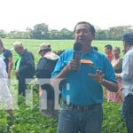 Foto: Presentación de nueva variedad de frijol con el INTA en Carazo / TN8