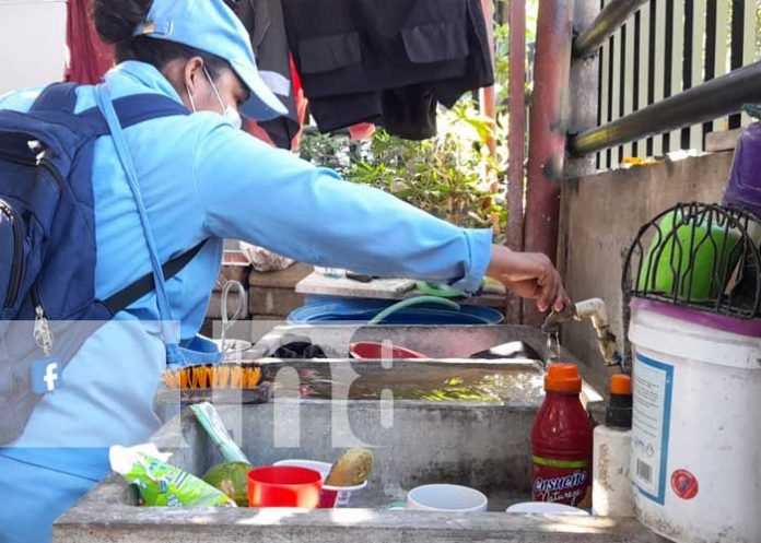 Foto: Brigadistas del MINSA realizan labores de abatización en Managua / TN8