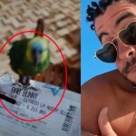 Loro despedaza boleto para el concierto de Bad Bunny