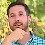 En transmisión un loro se acercó y le robó un auricular