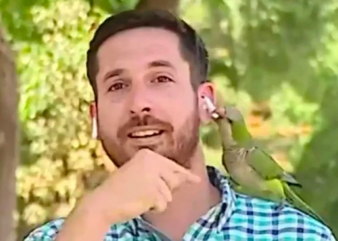 En transmisión un loro se acercó y le robó un auricular
