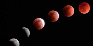 La Luna protagonizará un "espectáculo cósmico" con su último eclipse