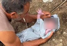 ¡Sin remordimiento! Hombre tiró a bebé recién nacida a un río en Brasil Hombre tiró al río a una bebé recién nacida en Brasil