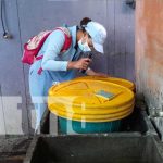 Abatización y fumigación para controlar zancudos en barrios de Managua