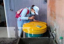 Familias del barrio 22 de Enero, en Managua, mejor protegidas contra los zancudos Abatización y fumigación para controlar zancudos en barrios de Managua