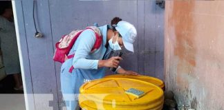 Abatización y fumigación para controlar zancudos en barrios de Managua
