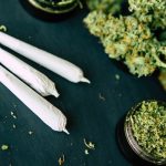 Ojo: La marihuana afecta los pulmones «más que el tabaco» según estudio La marihuana daña los pulmones más que el tabaco