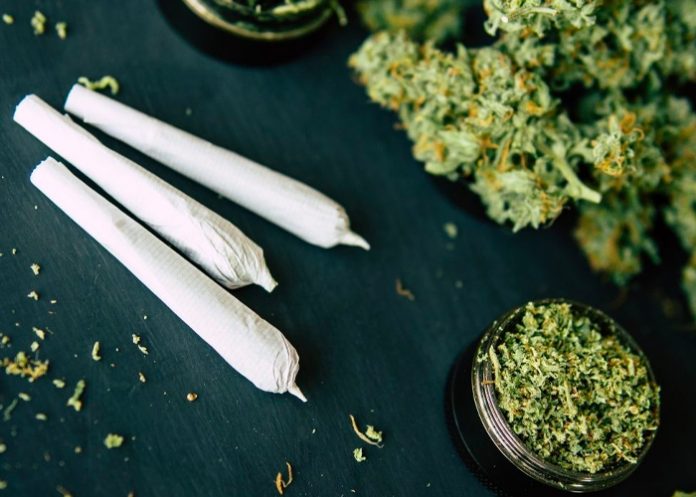 La marihuana daña los pulmones más que el tabaco