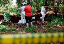 Espeluznante hallazgo ocho cuerpos en estado de descomposición en Michoacán Espeluznante hallazgo ocho cuerpos en estado de descomposición en Michoacán