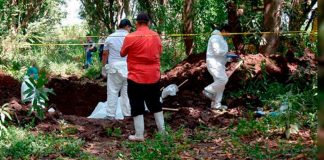 Espeluznante hallazgo ocho cuerpos en estado de descomposición en Michoacán