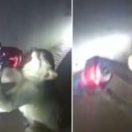 Un mono ‘alcohólico’ causa sensación en la India