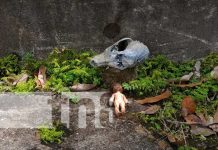 : Artefactos de supuesta brujería en Carazo