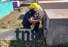 Bomberos lanzan plan cementerio en Nandaime Bomberos inspeccionan el cementerio de Nandaime