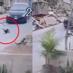 Taxista atropella a perro que estaba acostado en Perú