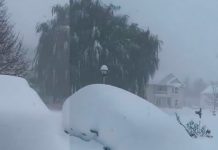 Estado de emergencia en Nueva York por nevada potencialmente peligrosa