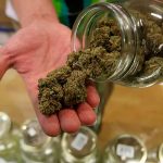 Nueva York entrega licencias para la venta legal de marihuana