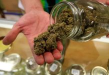 Nueva York entrega licencias para la venta legal de marihuana
