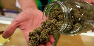 Nueva York entrega licencias para la venta legal de marihuana
