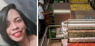 Falleció al caer en una trituradora de papas en Brasil